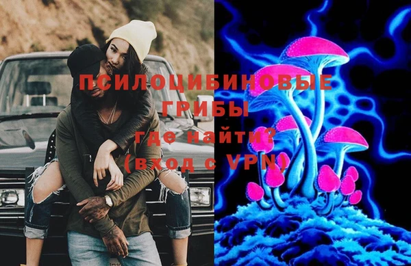 ГАЛЛЮЦИНОГЕННЫЕ ГРИБЫ Абинск