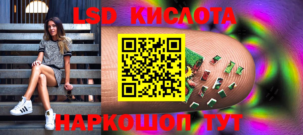 Бошки Шишки Кингисепп