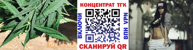 магазин    Кингисепп  Дистиллят ТГК THC oil 