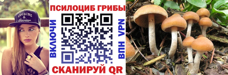 Галлюциногенные грибы GOLDEN TEACHER  hydra как зайти  Кингисепп  купить  цена 