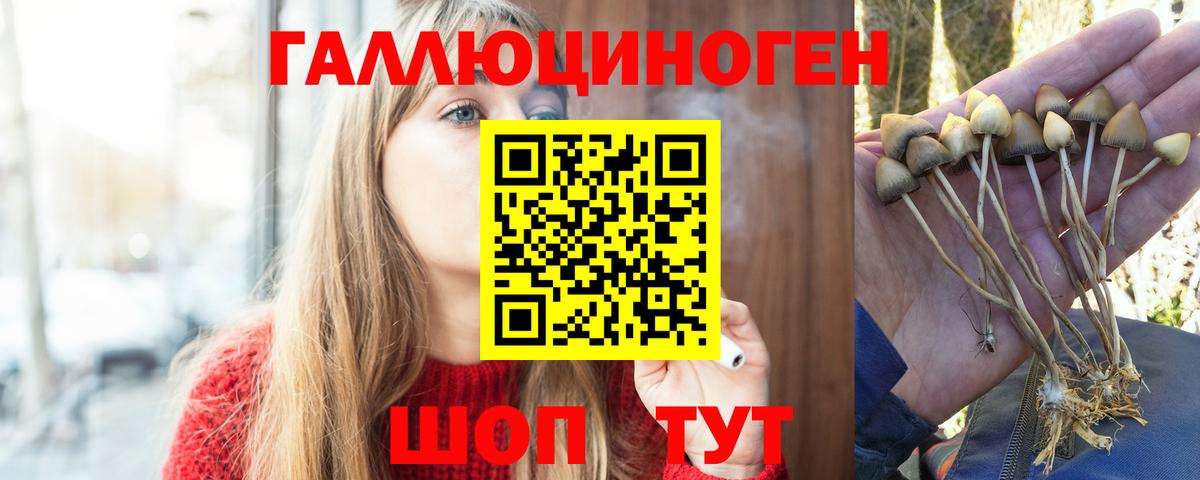 Галлюциногенные грибы мицелий  Псилоцибиновые грибы мицелий  Кингисепп  Вход с VPN 